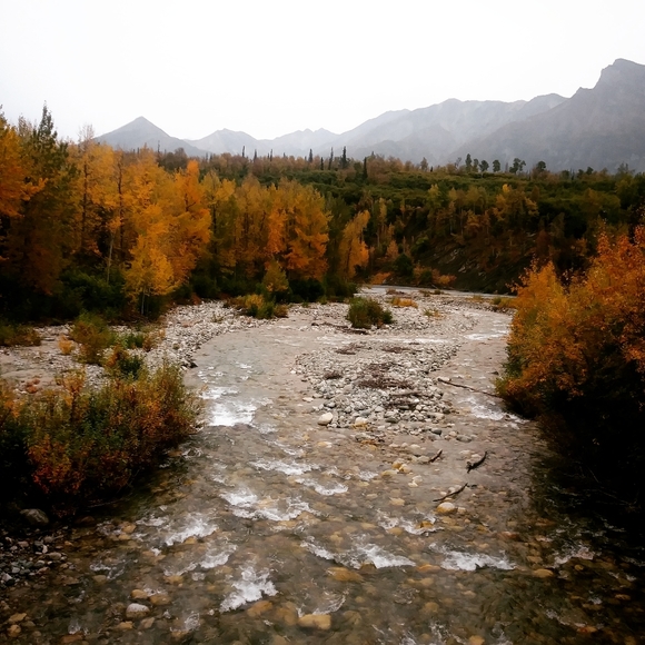 Meet your Posher, Cyndi - Picture 5 of 16